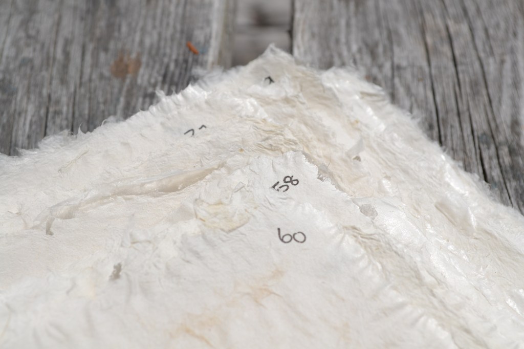 Haystack Mountain School of&nbsp;Crafts